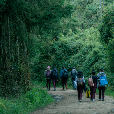 Experiencia Caminata Guiada