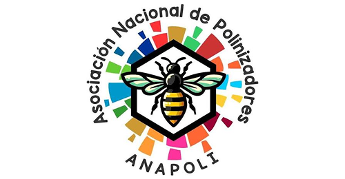 Logo-anapoli